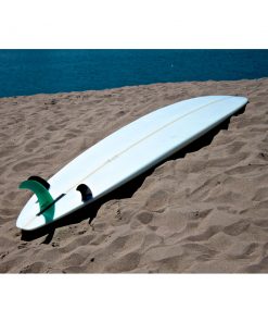 Alternative view of The Competitor